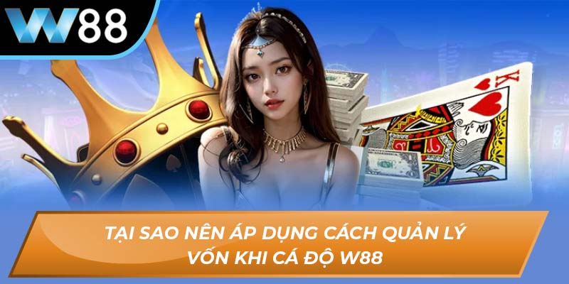 Tại sao nên áp dụng cách quản lý vốn khi cá độ W88